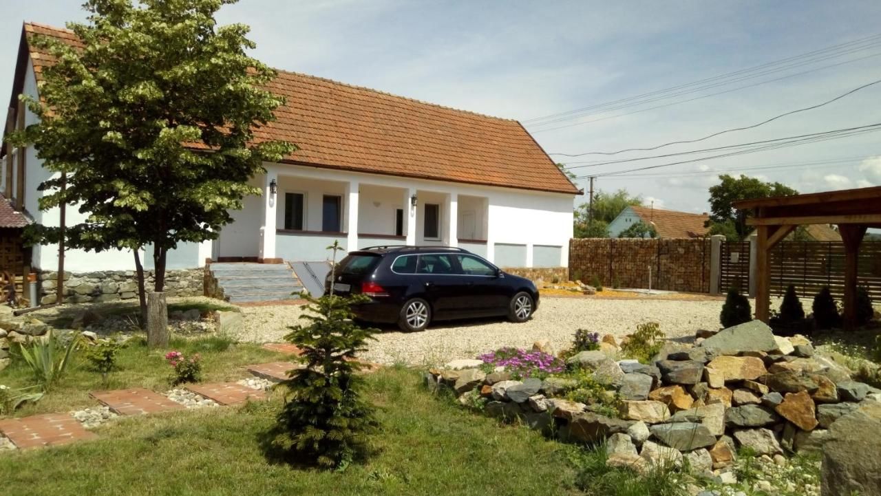 Гостевой дом Casa Ago - Guest House Păuliş-30