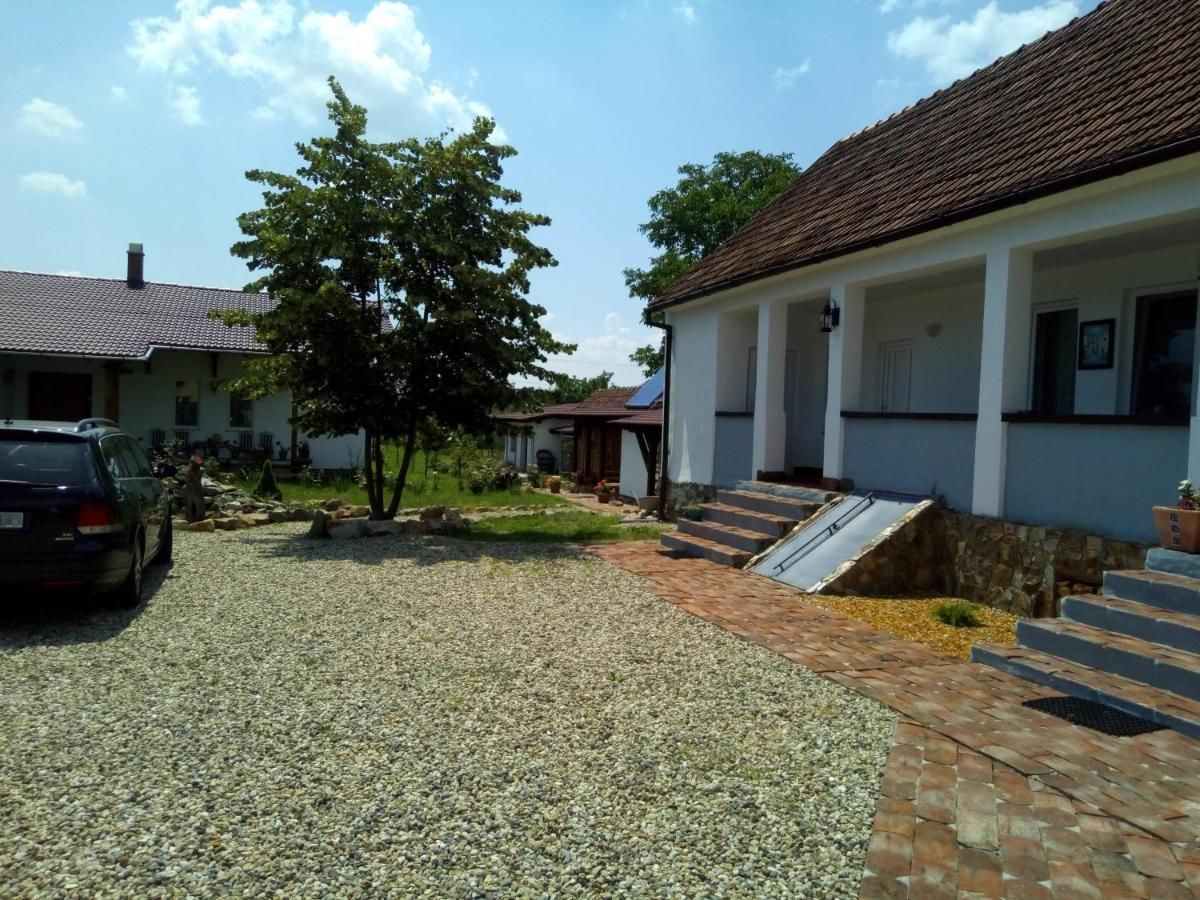Гостевой дом Casa Ago - Guest House Păuliş-33