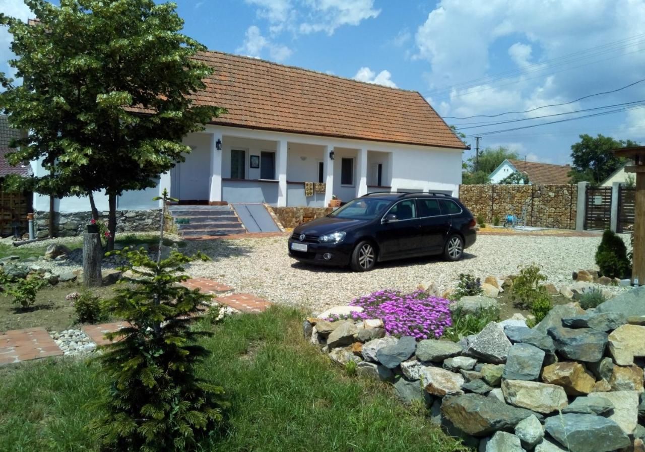 Гостевой дом Casa Ago - Guest House Păuliş-35